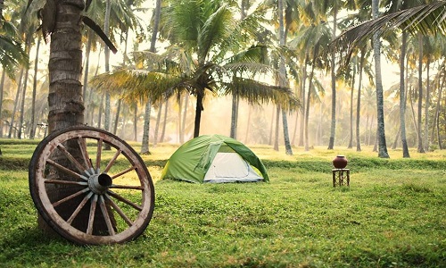 49485897_877613272591697_7412710362841088000_n