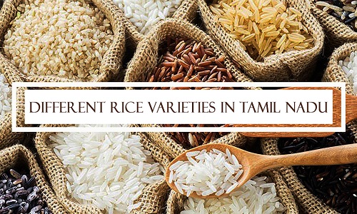 Different-Rice-varieties-in-Tamil-Nadu