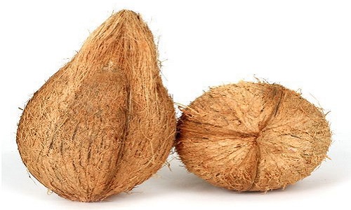 organic-coconut-500x500